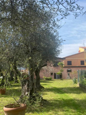 La casa dei NONNI